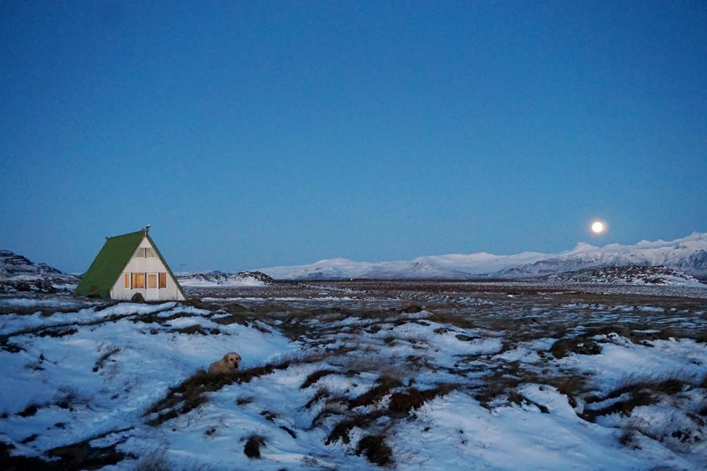 Hoemluholt Holiday Homes Экстерьер фото